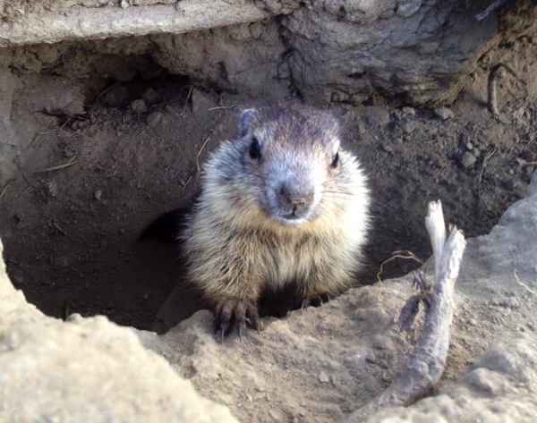 10417465 1466649766909593 9060335960062242529 n